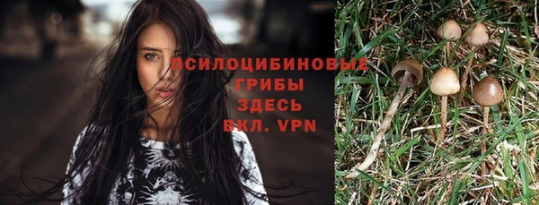 мефедрон Алексеевка